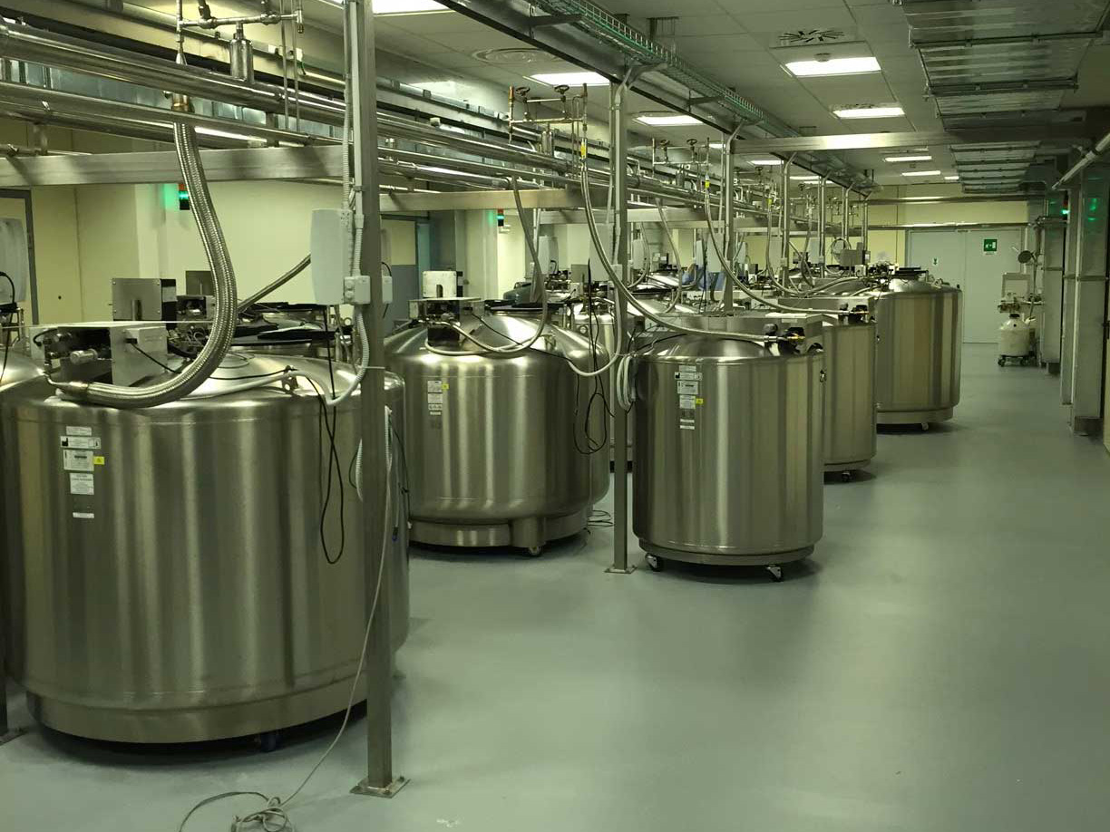 PROGETTAZIONE E REALIZZAZIONE IMPIANTI ELETTRICI E SPECIALI @ Biorep